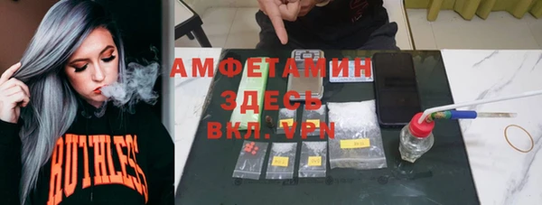индика Красноперекопск