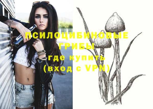 индика Красноперекопск
