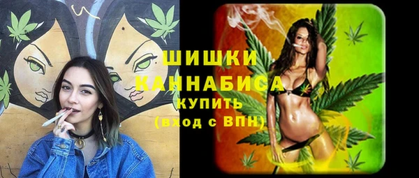 индика Красноперекопск